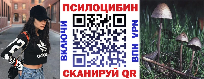 Галлюциногенные грибы Psilocybe  гидра рабочий сайт  Петровск  наркотики 